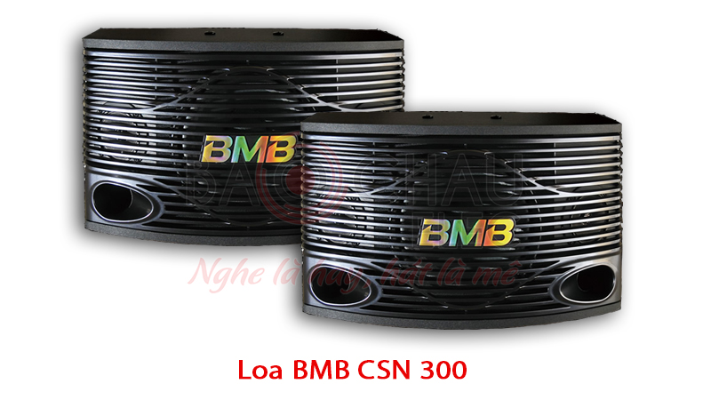 Loa BMB CSN 300 Loa BMB CSN 300