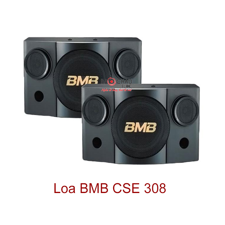 Loa BMB CSE 308 Loa BMB CSE 308