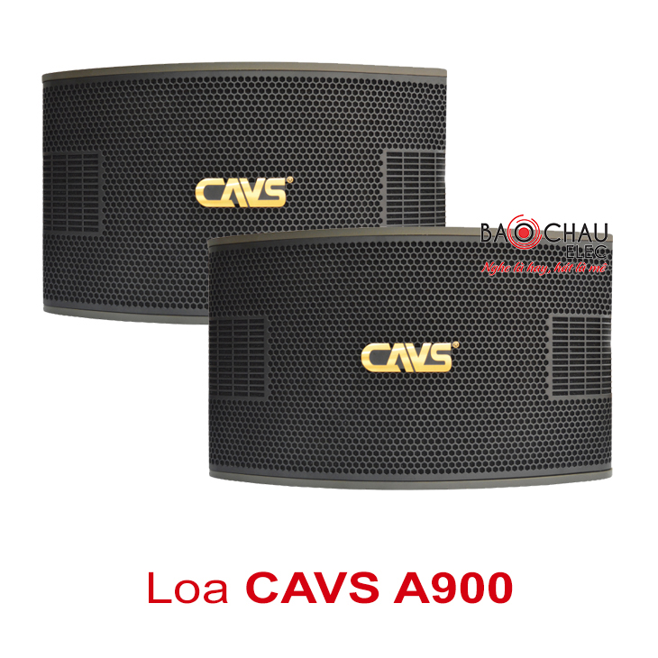 Loa karaoke CAVS A900 Loa karaoke CAVS A900