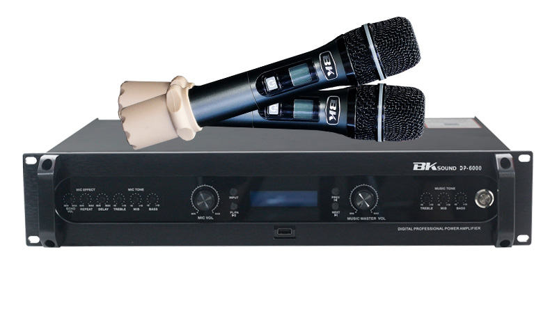 Đẩy liền vang kèm micro không dây BKsound DP6000