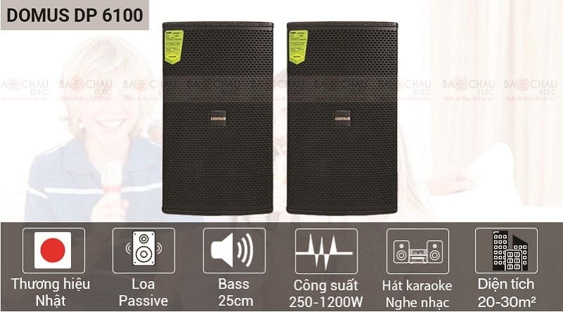 Loa karaoke Domus DP6100