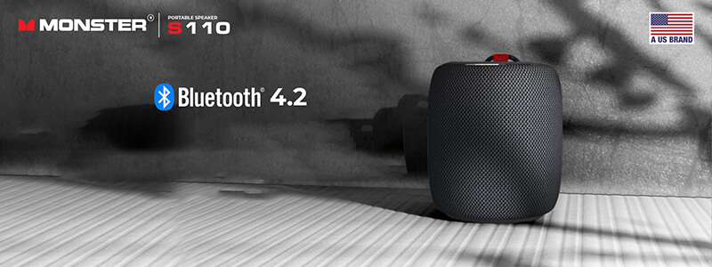 Loa Monster S110