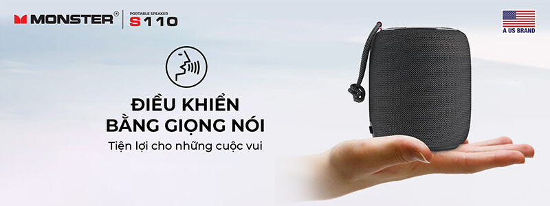 Loa Monster S110
