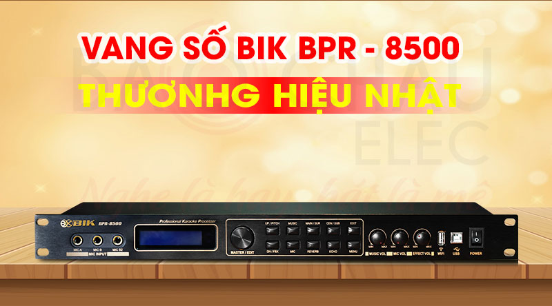 Vang số BIK BPR-8500