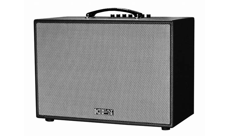 Loa Kéo Acnos CS250PU