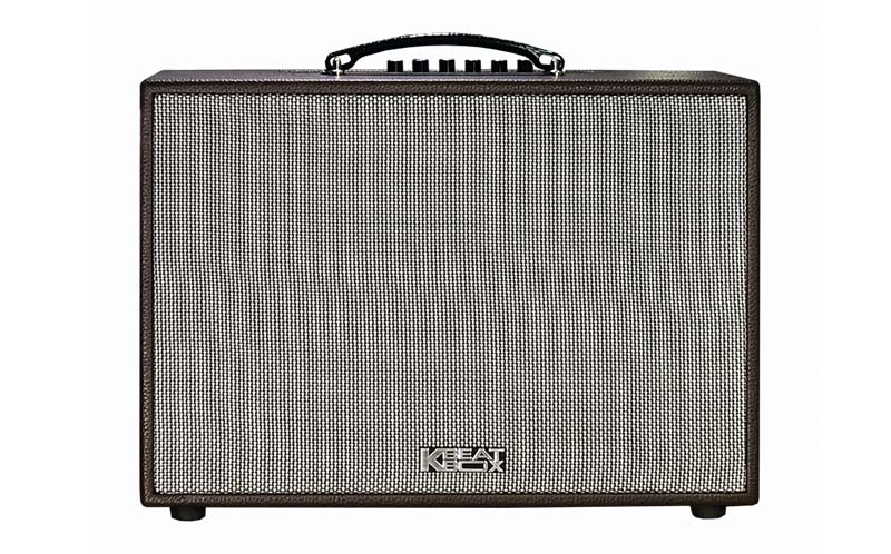 Loa Kéo Acnos CS250PU