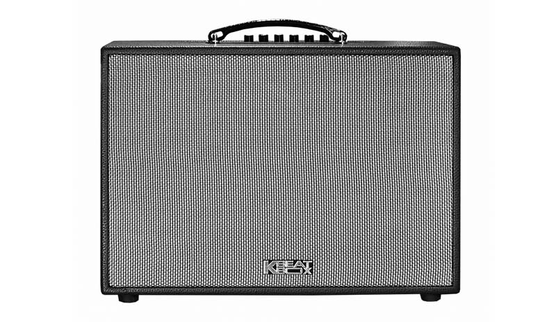 Loa Kéo Acnos CS250PU