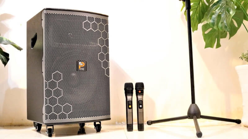 Loa karaoke không dây Prosing W12 Bee