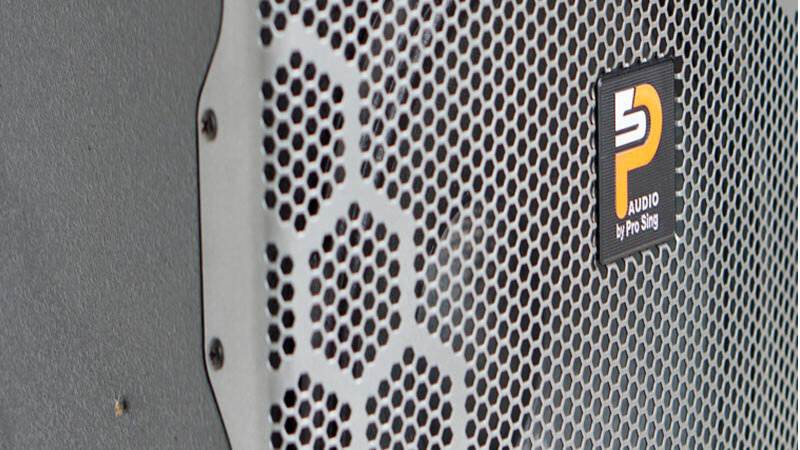 Loa karaoke không dây Prosing W12 Bee