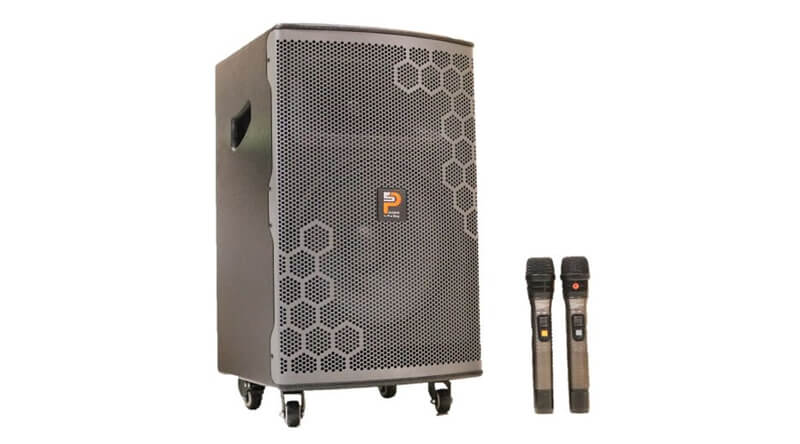 Loa karaoke không dây Prosing W12 Bee