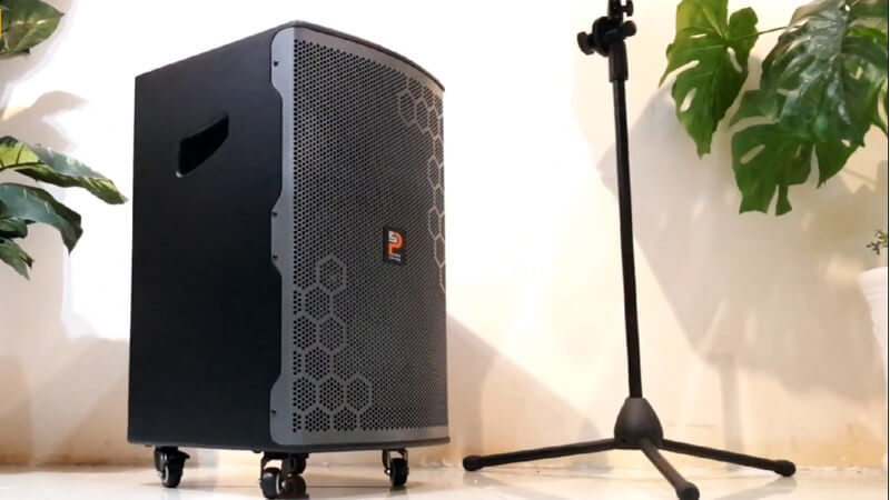 Loa karaoke không dây Prosing W12 Bee