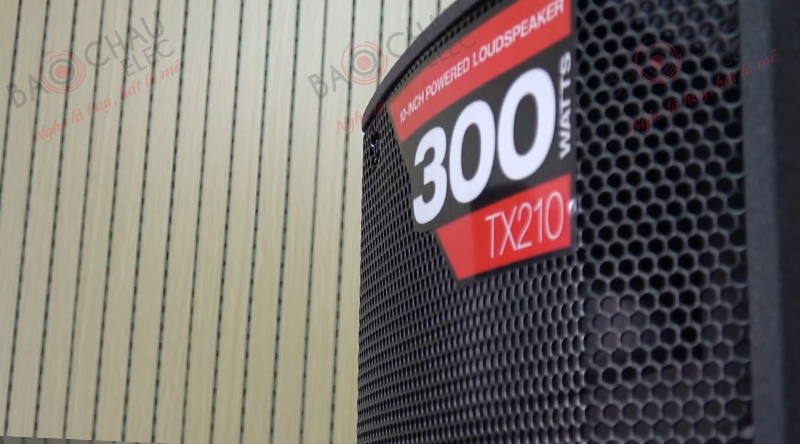 Loa Alto TX210 mang cấu trúc 2 loa, 2 đường tiếng