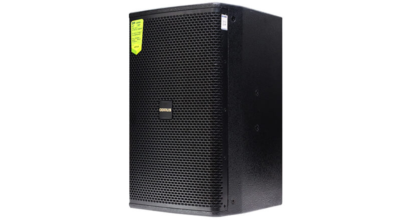 Loa karaoke Domus DP 6150