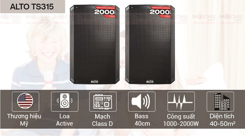 loa karaoke alto ts315