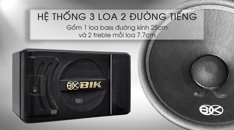 Loa karaoke BIK BJ-S886