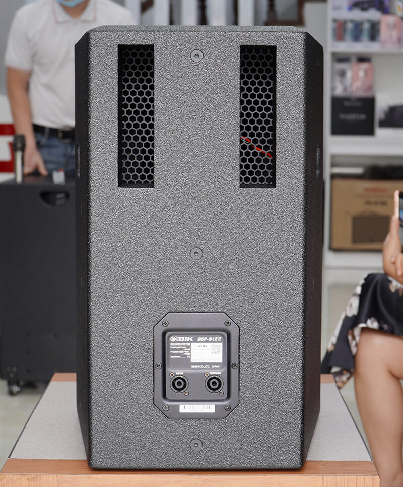 Loa karaoke BIK BSP 812II (bass 30cm)