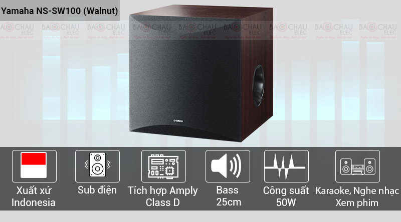 loa-sub-yamaha-ns-sw100-1.jpg