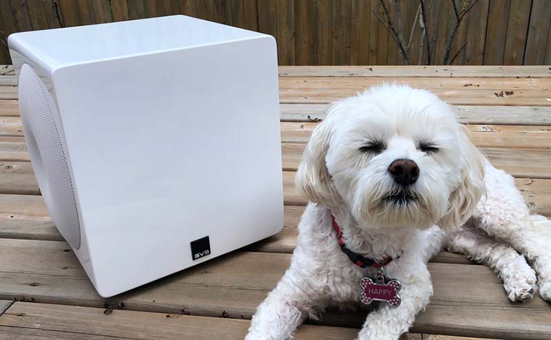 Loa sub SVS 3000 Micro