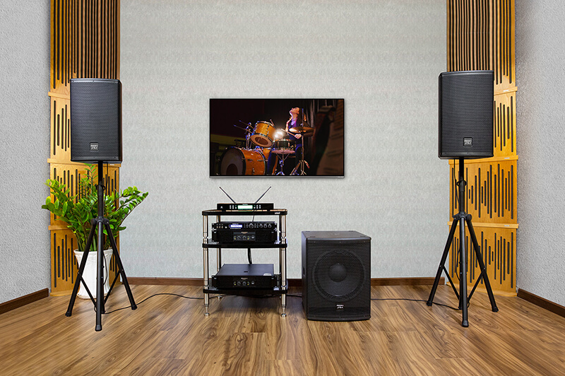 Loa Paramax PRO SUB-V40