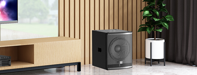 Loa Paramax PRO SUB-V40