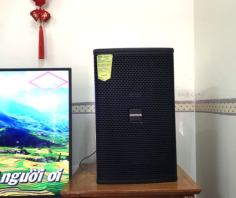Hệ thống 2 đường tiếng, cấu tạo gồm 2 củ loa, trong đó có 1 loa bass 25cm kết hợp cùng 1 loa treble 3.3cm, hoạt động ở mức công suất 250/ 1200W cho âm thanh đầu ra mạnh mẽ, sống động và vô cùng chân thực