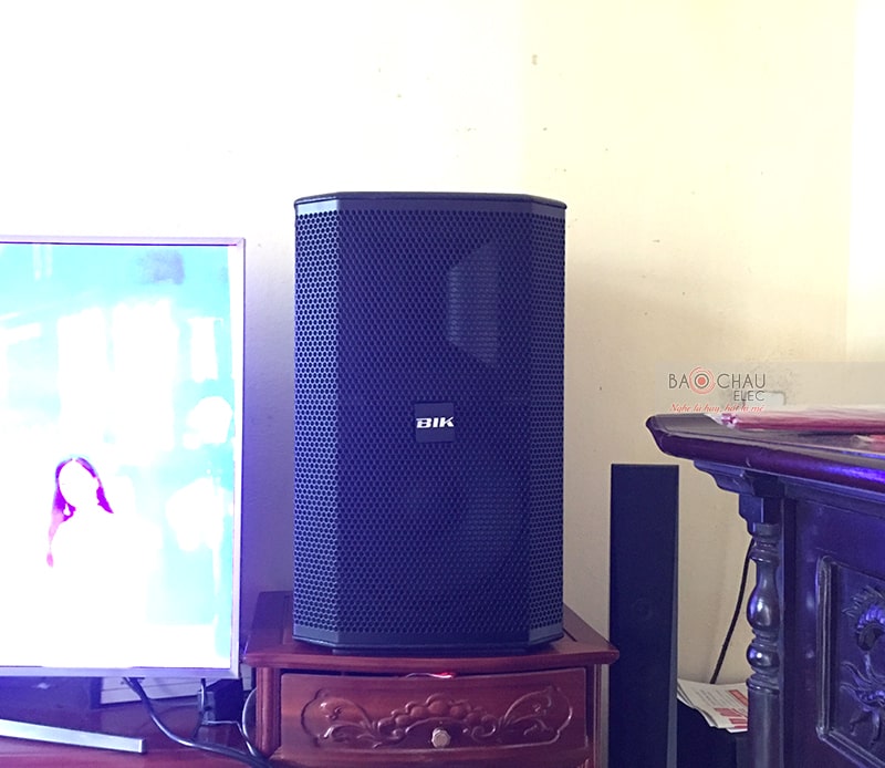 Hệ thống 2 đường tiếng, cấu tạo từ 2 củ loa, bao gồm 1 củ bass 30cm với cuộn coin 7.5cm và 1 củ treble kèn titan coin 4.4cm, hoạt động ở mức công suất 300/ 1200W giúp âm thanh đầu ra uy lực, chân thực nhưng cũng không thiếu đi sự chi tiết