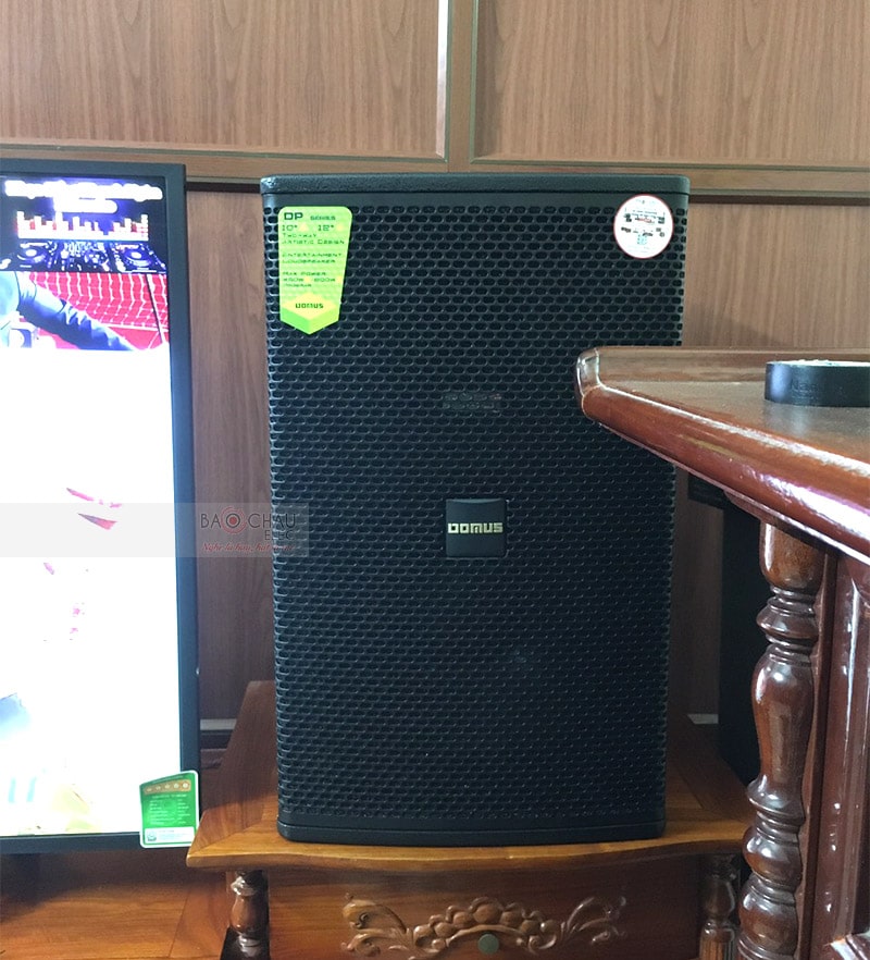 Được cấu tạo từ 2 củ loa, trong đó có 1 loa bass 30cm và 1 loa treble 3.3cm giúp Domus DP6120 tái tạo 2 đường tiếng riêng biệt với âm trầm uy lực, âm cao trong sáng
