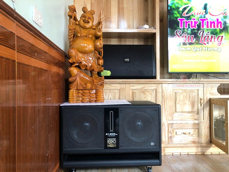 Loa BIK BJ-W66PLUS được trang bị củ loa kép với 2 loa bass mặt đường kính 25cm cho âm trầm uy lực, sâu chắc
