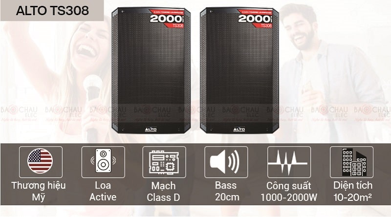 Loa Karaoke Alto TS308 active (Full bass 20cm)