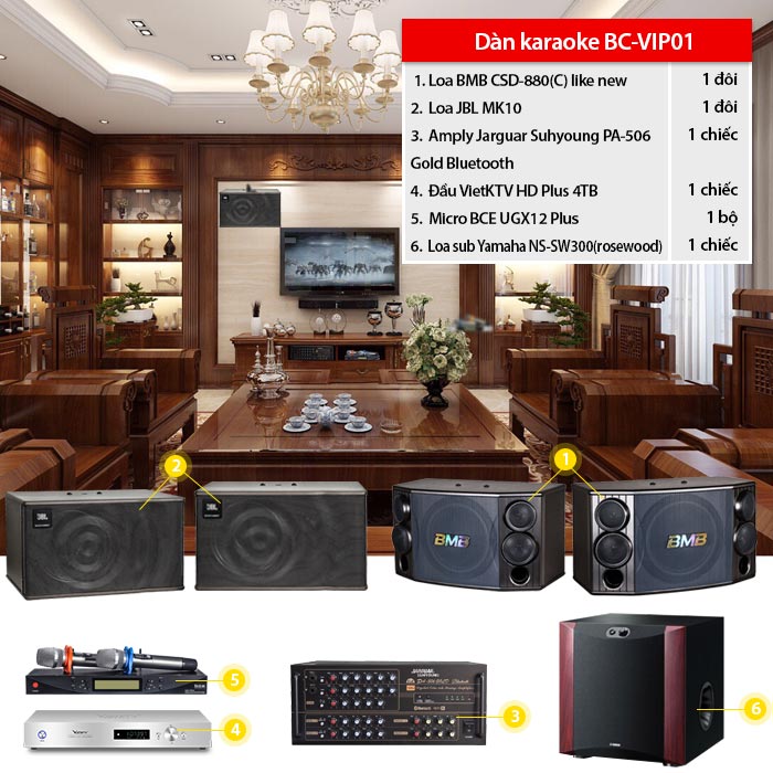 Dàn karaoke VIP cho gia đình: BC-VIP01
