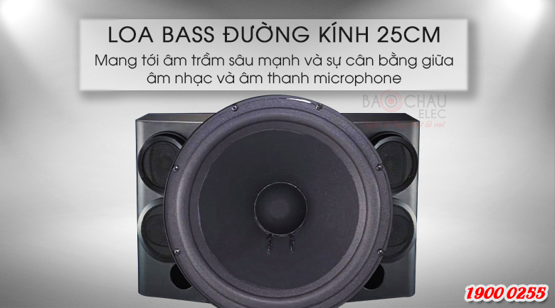 Đường kính loa bass của BMB CSE-310(SE) là 25cm