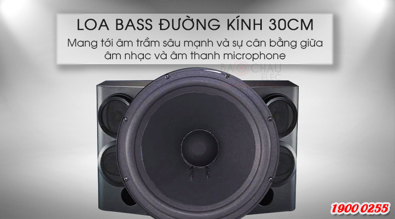 Đường kính bass loa 30cm giúp loa có thể sử dụng cho phòng từ 20-30m2