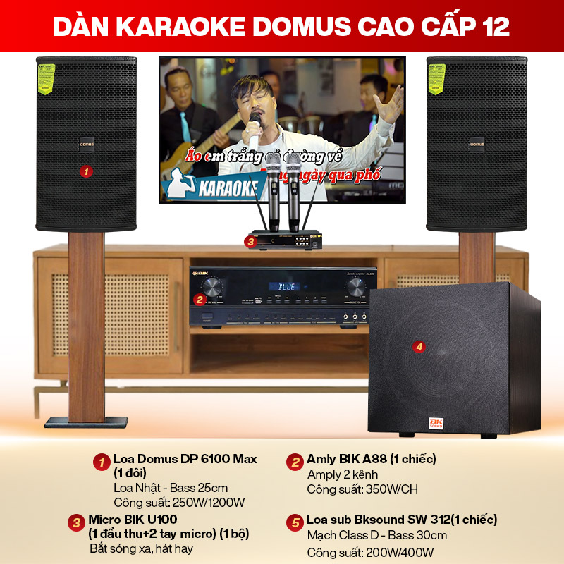 Dàn karaoke cao cấp Domus 12
