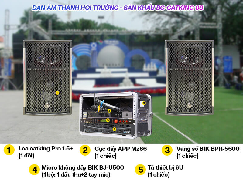 Dàn âm thanh hội trường, sân khấu BC-CatKing 08