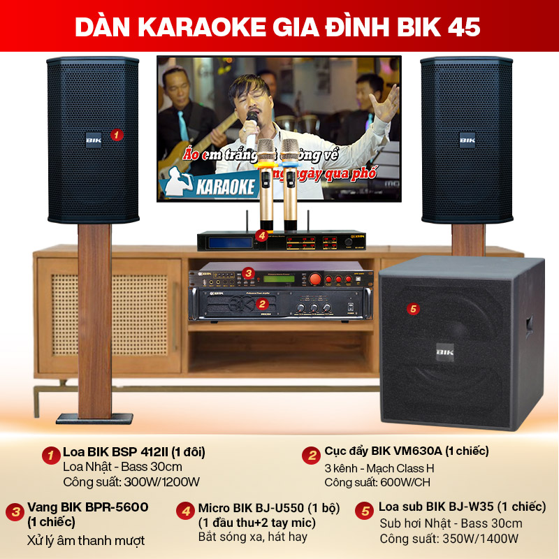 Dàn karaoke gia đình BIK 45 