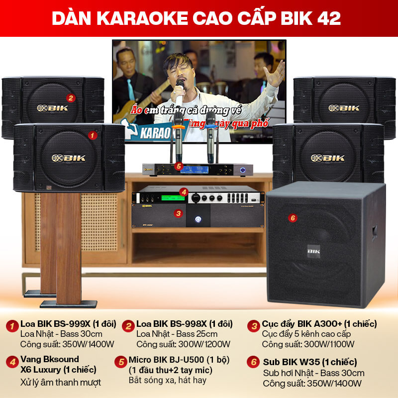 Dàn karaoke cao cấp BIK 42