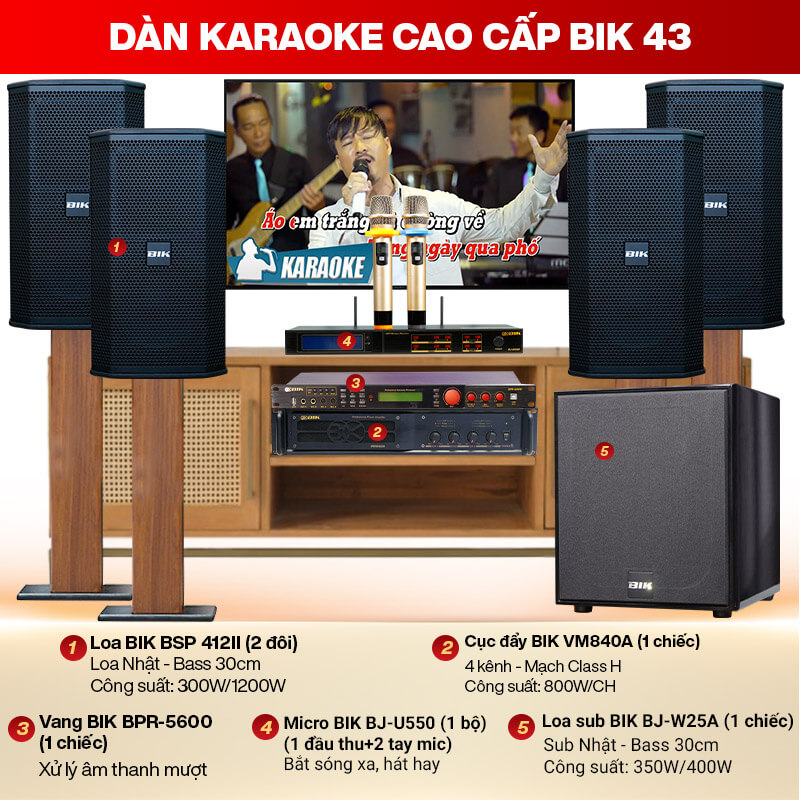 Dàn karaoke cao cấp BIK 43