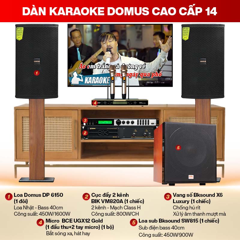 Dàn karaoke Domus cao cấp 14