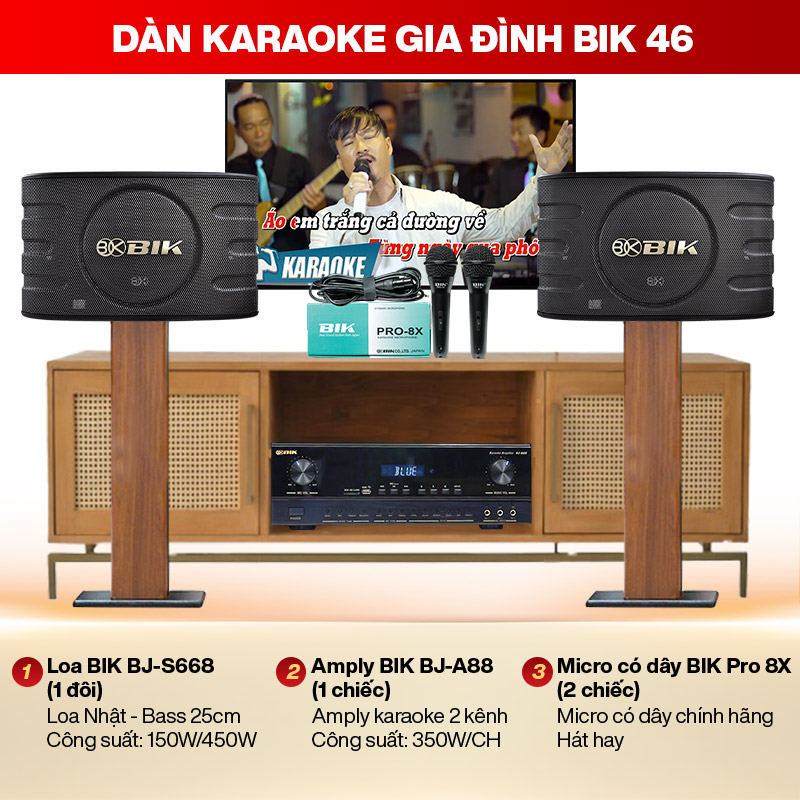 Dàn karaoke gia đình BIK 46