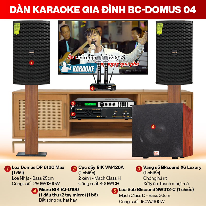 Dàn karaoke gia đình BC-Domus04