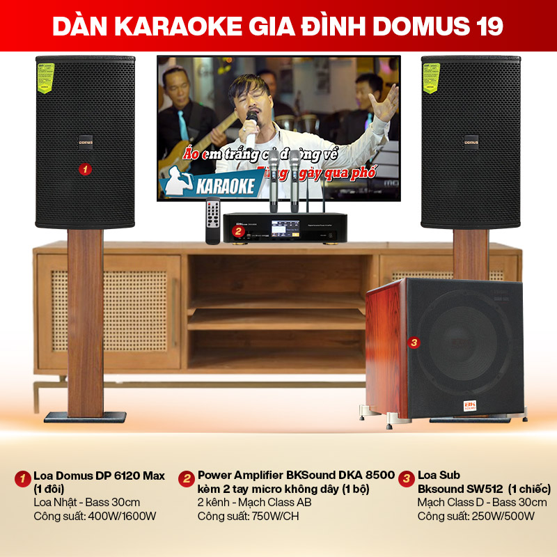 dàn karaoke gia đình Domus 19