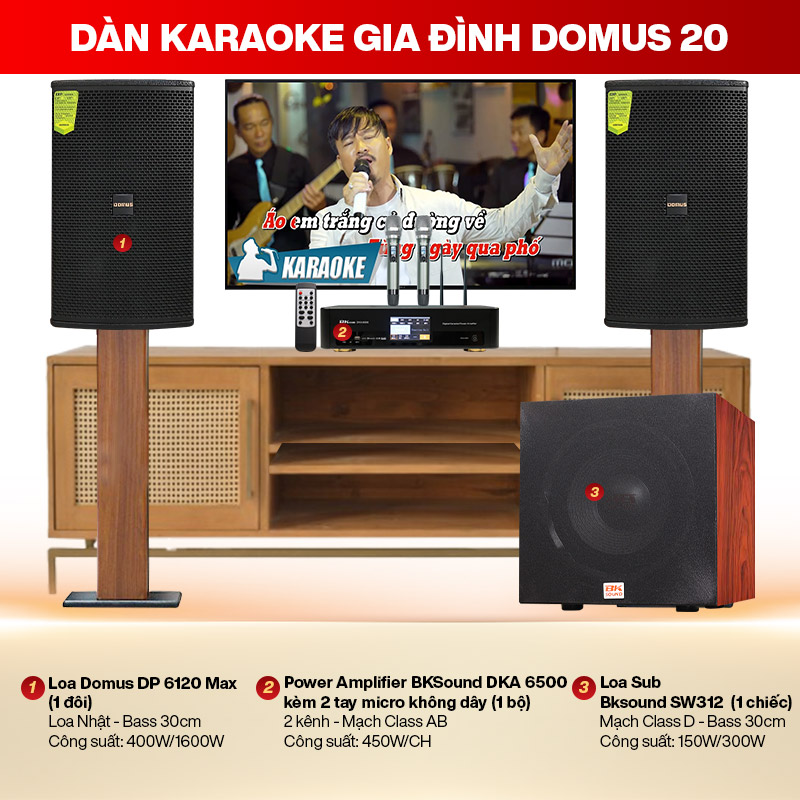 Dàn karaoke gia đình Domus 20