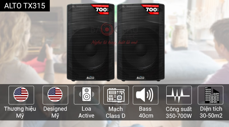 Loa Alto TX315