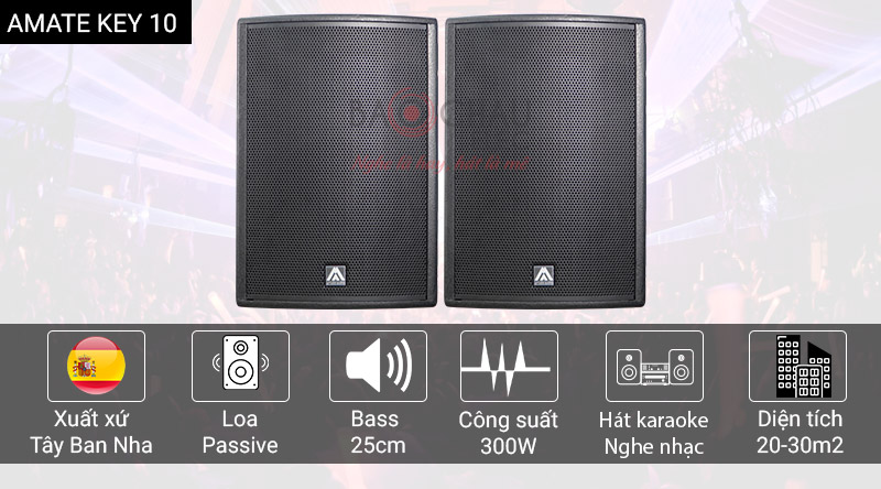 Loa karaoke Amate Key 10
