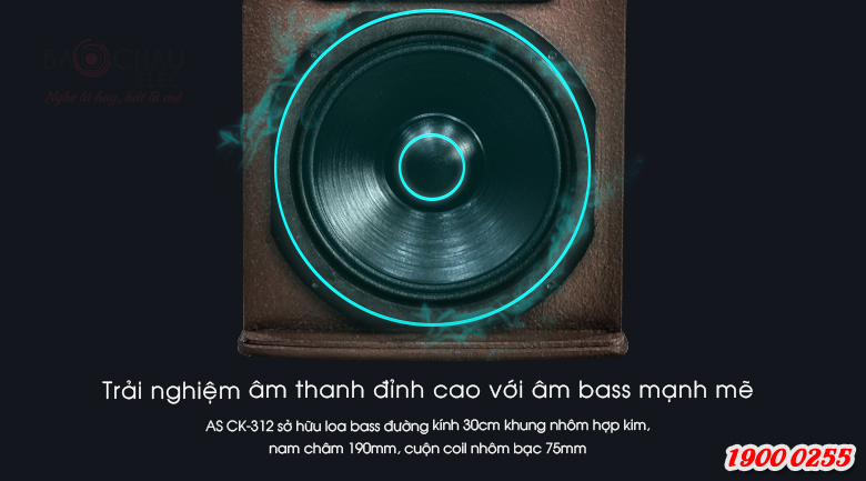 Trải nghiệm âm thanh đỉnh cao với âm bass mạnh mẽ từ CK-312