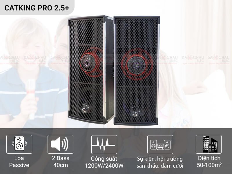 Loa hội trường - sân khấu CatKing Pro 2.5+