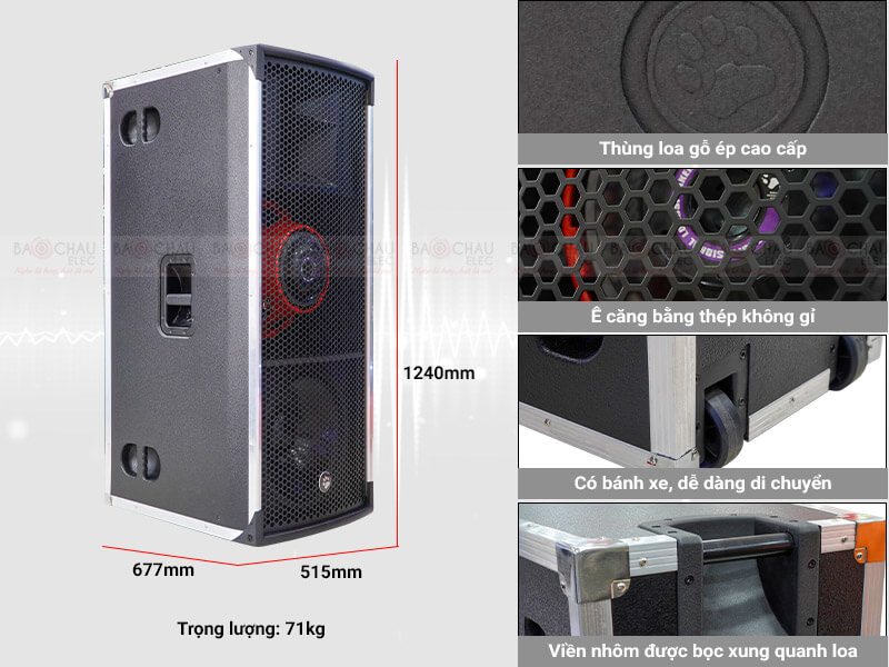 Loa hội trường - sân khấu CatKing Pro 2.5+