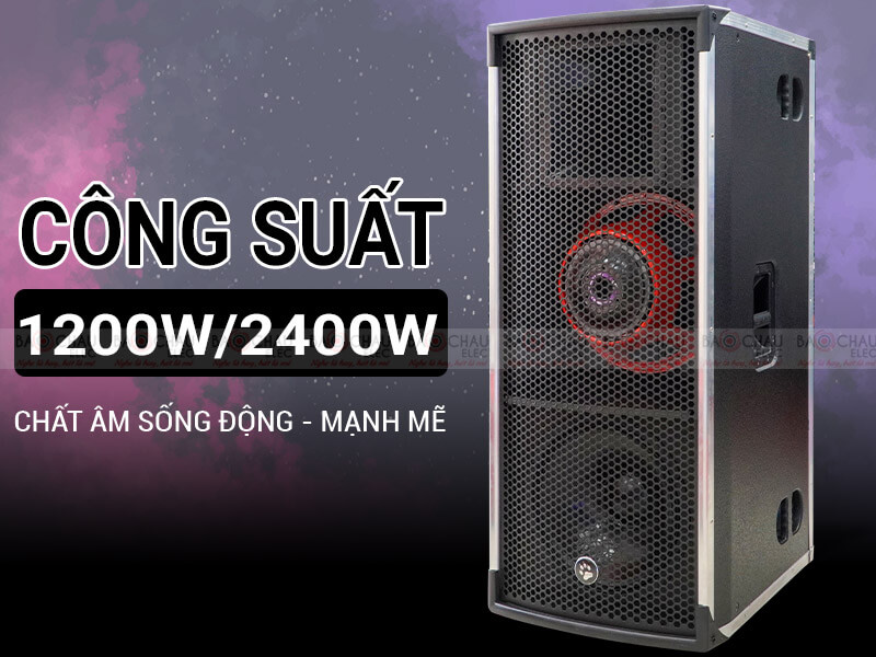 Loa hội trường - sân khấu CatKing Pro 2.5+