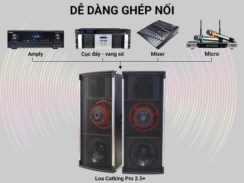 Loa hội trường - sân khấu CatKing Pro 2.5+
