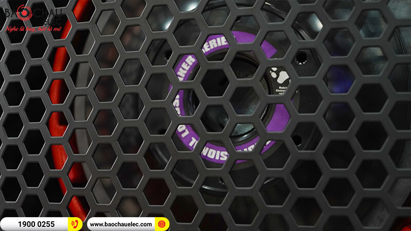 Loa hội trường - sân khấu CatKing Pro 2.5+